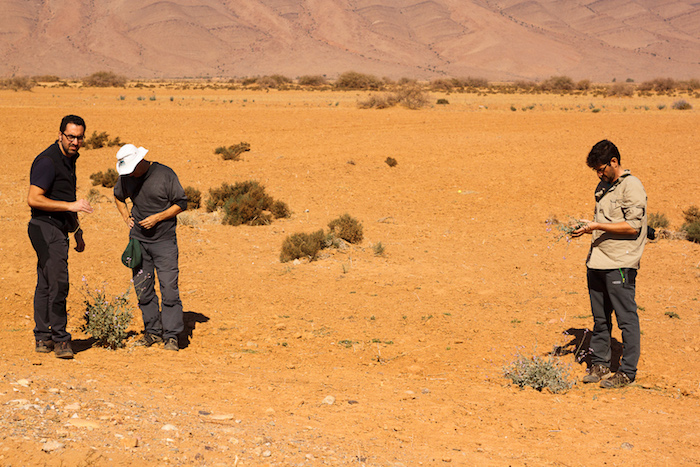 Marruecos-2016-4858