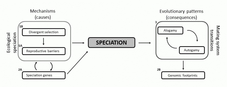 scheme1-e1414937257199