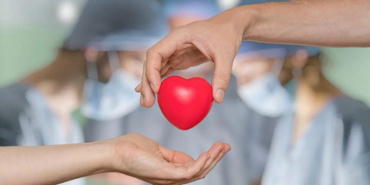 «¿Deben los familiares intervenir en la decisión sobre donación de órganos?»
