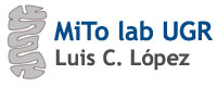 MiTo lab UGR - Luis C. López