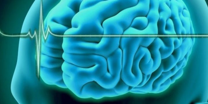 «Muerte cerebral: de la bioética a la filosofía de la ciencia»