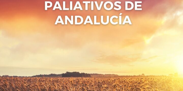 Mesa redonda sobre Eutanasia y Cuidados Paliativos en el III Encuentro de la Red de Cuidados Paliativos de Andalucía