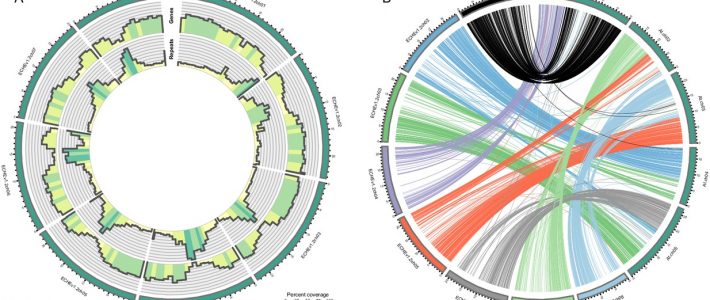 Independent evolution of ancestral and novel defenses in a genus of toxic plants (Erysimum, Brassicaceae)