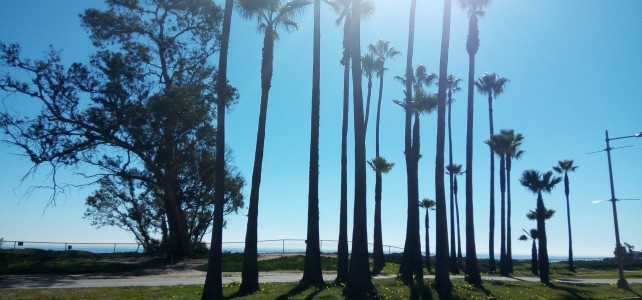 Visiting University of California, Santa Barbara