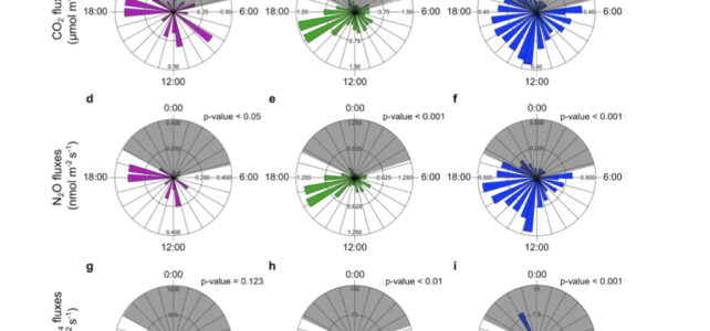 Higher emissions of carbon dioxide, nitrous oxide,and methane during the daytime in two reservoirs