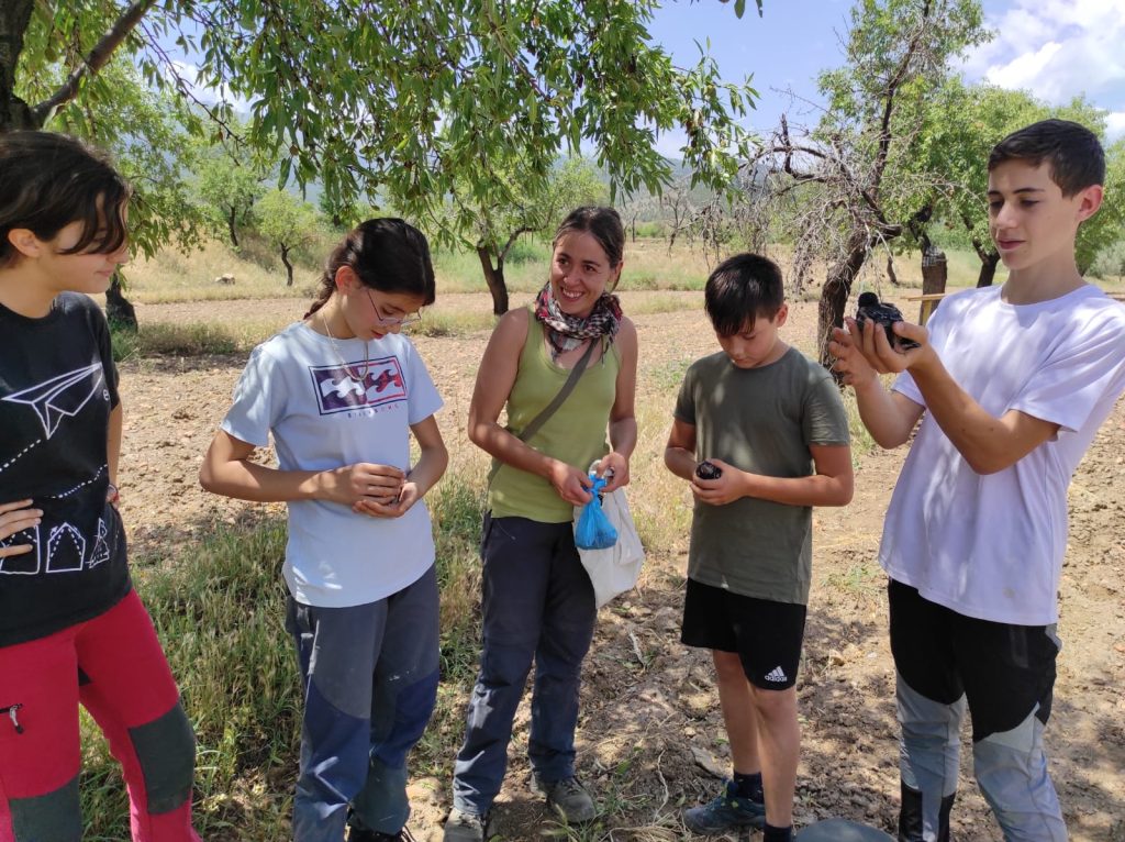 Actividades Educativas