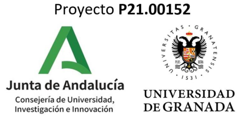 Logo of project P21_00152 (E-HHL-D)